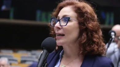 A deputada federal Carla Zambelli oficializou a decisão de acionar o Tribunal Penal Internacional em Haia contra o ministro Alexandre de Moraes. Entenda o caso.
