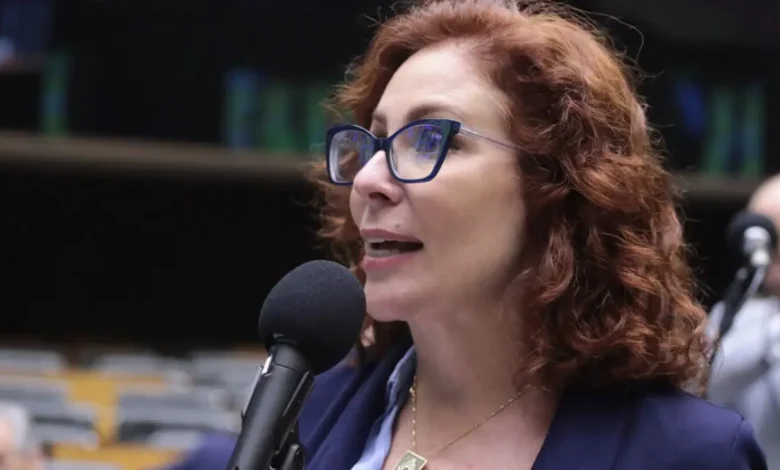 A deputada federal Carla Zambelli oficializou a decisão de acionar o Tribunal Penal Internacional em Haia contra o ministro Alexandre de Moraes. Entenda o caso.