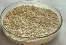 Uma inovação científica brasileira converte grãos de feijão quebrados, antes descartados, em uma nova fonte de proteína vegetal nutritiva e sustentável.