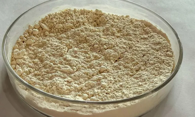 Uma inovação científica brasileira converte grãos de feijão quebrados, antes descartados, em uma nova fonte de proteína vegetal nutritiva e sustentável.