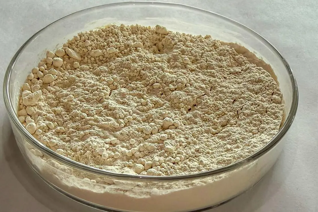 Pesquisa brasileira transforma feijão quebrado em nova proteína 6 Uma inovação científica brasileira converte grãos de feijão quebrados, antes descartados, em uma nova fonte de proteína vegetal nutritiva e sustentável.