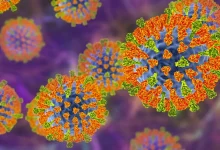 O continente americano enfrenta a maior alta de casos de sarampo das últimas duas décadas, acendendo um alerta urgente para a importância da vacinação.