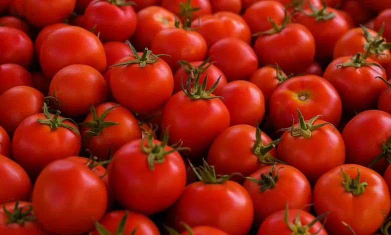 Estudos revelam que o fitoeno, composto presente no tomate, pode ser um aliado poderoso na prevenção da esteatose hepática. Saiba como o nutriente atua no corpo.