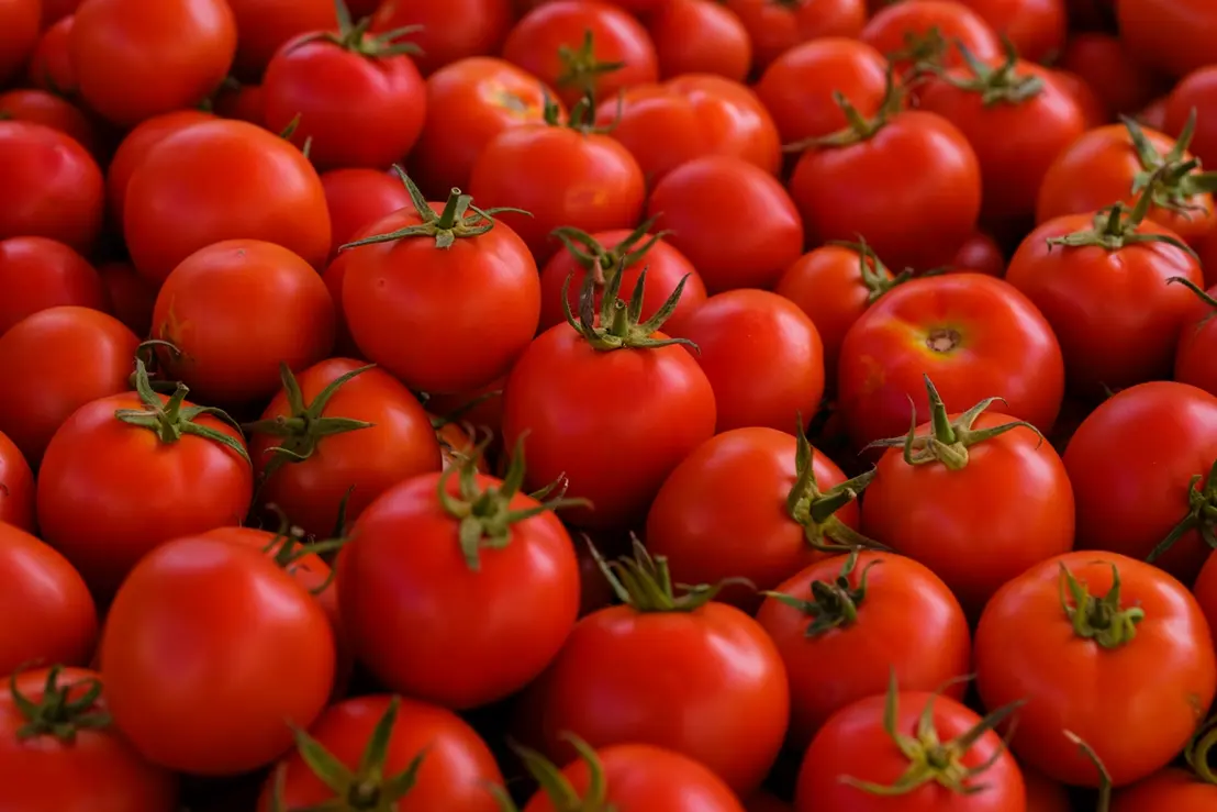 Estudos revelam que o fitoeno, composto presente no tomate, pode ser um aliado poderoso na prevenção da esteatose hepática. Saiba como o nutriente atua no corpo.