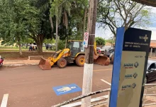 Fortes temporais atingiram Paraguaçu Paulista, provocando quedas de árvores e alagamentos. Confira as ações da prefeitura e orientações da Defesa Civil.