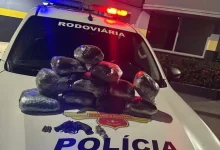 Uma ação policial na Rodovia Raposo Tavares resultou na apreensão de 69 kg de entorpecentes e um revólver escondidos em um ônibus. Confira os detalhes.