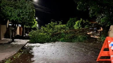 Forte chuva atinge Cândido Mota, derrubando árvores e destelhando residências. Equipes trabalham na limpeza e assistência às famílias afetadas.