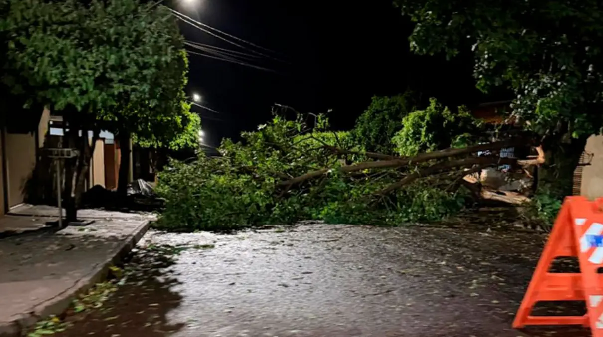 Forte chuva atinge Cândido Mota, derrubando árvores e destelhando residências. Equipes trabalham na limpeza e assistência às famílias afetadas.