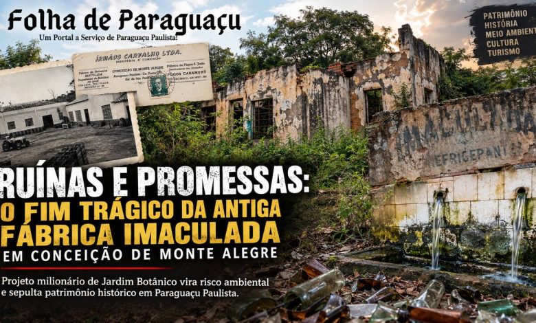 Ruinas da Fabrica Imaculada Memoria e Abandono em Conceicao