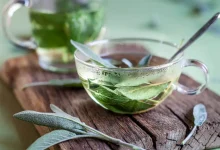 Descubra como preparar o chá de sálvia, uma infusão valorizada por suas propriedades digestivas e anti-inflamatórias. Confira o passo a passo completo.