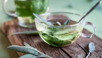 Descubra como preparar o chá de sálvia, uma infusão valorizada por suas propriedades digestivas e anti-inflamatórias. Confira o passo a passo completo.