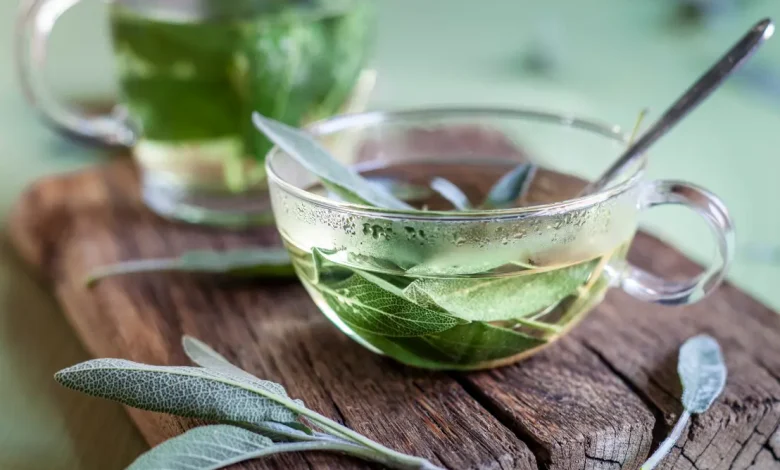 Descubra como preparar o chá de sálvia, uma infusão valorizada por suas propriedades digestivas e anti-inflamatórias. Confira o passo a passo completo.