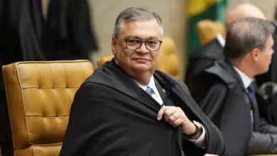 Ministro Flávio Dino anula decisão de André Mendonça e determina a restauração de publicação sobre Nossa Senhora Aparecida. Entenda o caso no STF.