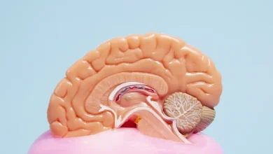 Entenda como técnicas de estimulação cognitiva podem ser fundamentais para retardar a perda de funções cerebrais em pacientes com Alzheimer.