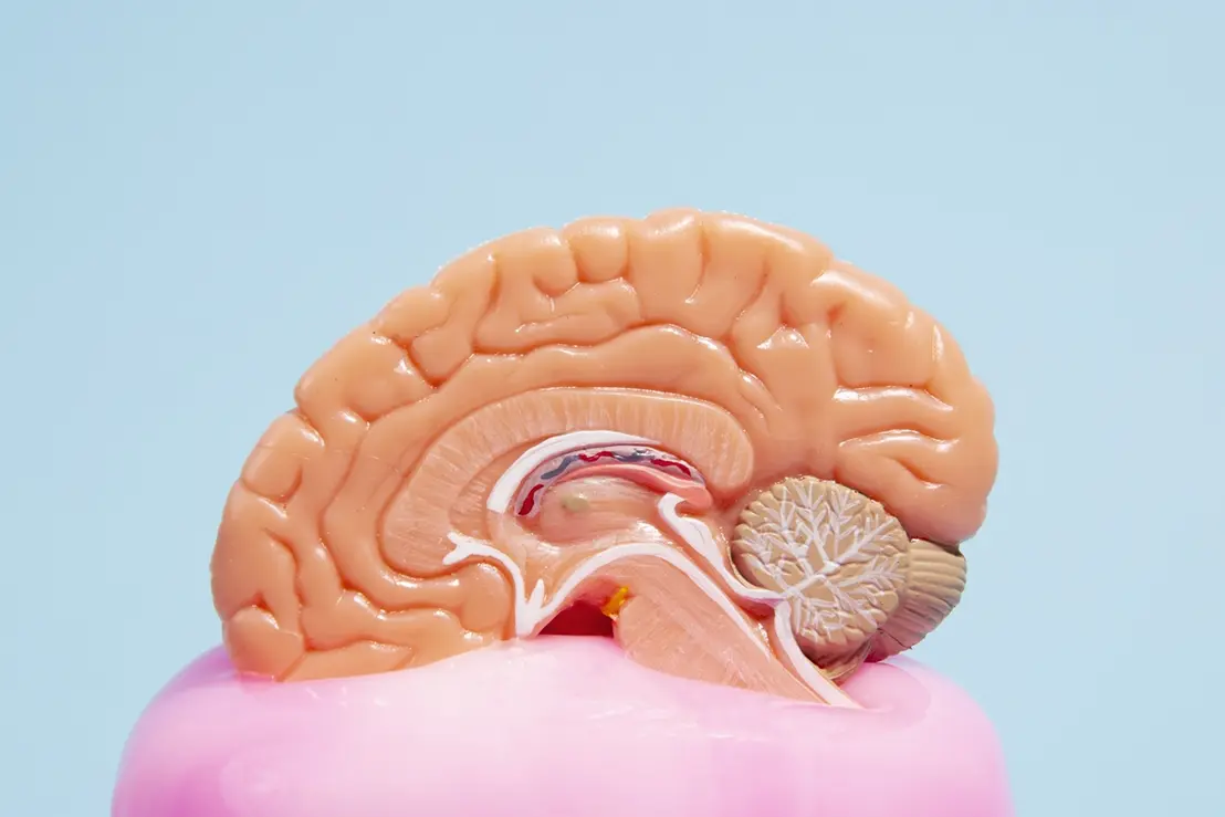 Entenda como técnicas de estimulação cognitiva podem ser fundamentais para retardar a perda de funções cerebrais em pacientes com Alzheimer.