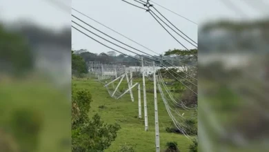 Uma forte ventania atingiu Presidente Prudente, derrubando árvores e postes, o que causou interrupção no fornecimento de energia elétrica na região.