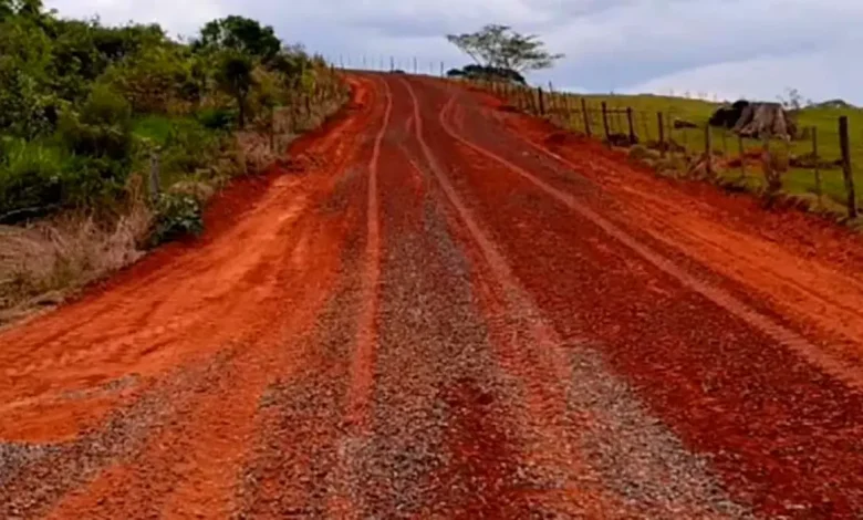 lutecia estrada serrinha bunka.webp