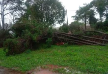Forte chuva atingiu Assis, provocando queda de árvores e interrupção no fornecimento de energia elétrica. Equipes atuam nos reparos.