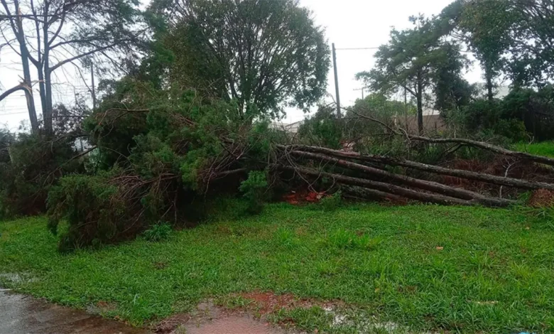 Forte chuva atingiu Assis, provocando queda de árvores e interrupção no fornecimento de energia elétrica. Equipes atuam nos reparos.