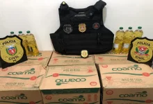 A Polícia Civil de Cândido Mota recuperou parte de uma carga de óleo de soja roubada no Paraná. Saiba mais sobre a operação e as investigações.