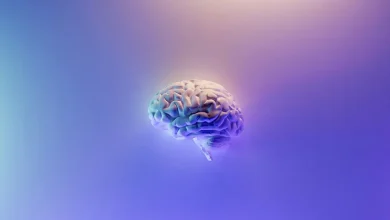 Nova pesquisa científica revela que o uso de microdoses de LSD pode trazer melhorias significativas na atenção de mulheres. Confira os detalhes.