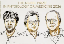 Descubra como a inovadora técnica premiada com o Nobel utiliza pulsos de luz para controlar neurônios com precisão revolucionando a medicina.
