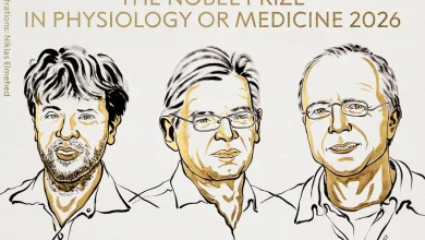 Descubra como a inovadora técnica premiada com o Nobel utiliza pulsos de luz para controlar neurônios com precisão revolucionando a medicina.