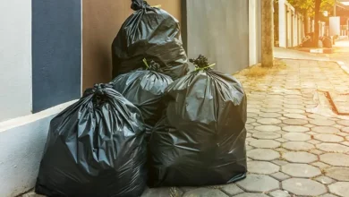 Prefeitura de Paraguaçu Paulista suspende coleta no feriado 2 Saiba como fica o serviço de recolhimento de resíduos em Paraguaçu Paulista durante o feriado de 2 de novembro. Confira a programação e organize-se.