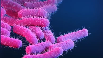 Estudos recentes alertam para o avanço de bactérias causadoras de diarreia transmitida sexualmente altamente resistentes a antibióticos. Confira detalhes.