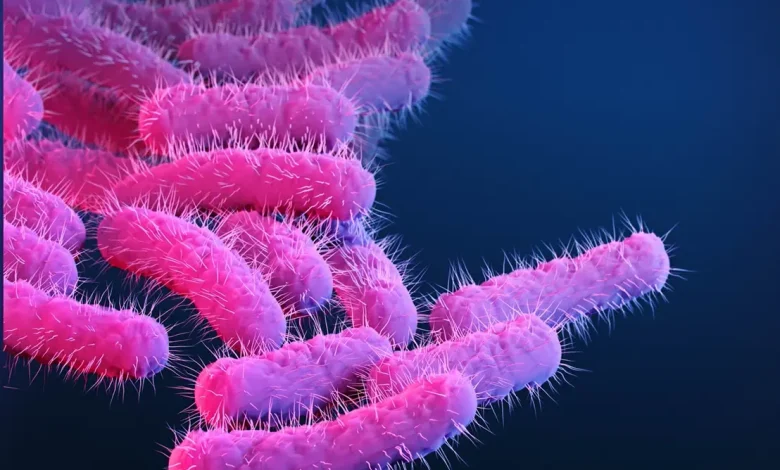 Estudos recentes alertam para o avanço de bactérias causadoras de diarreia transmitida sexualmente altamente resistentes a antibióticos. Confira detalhes.